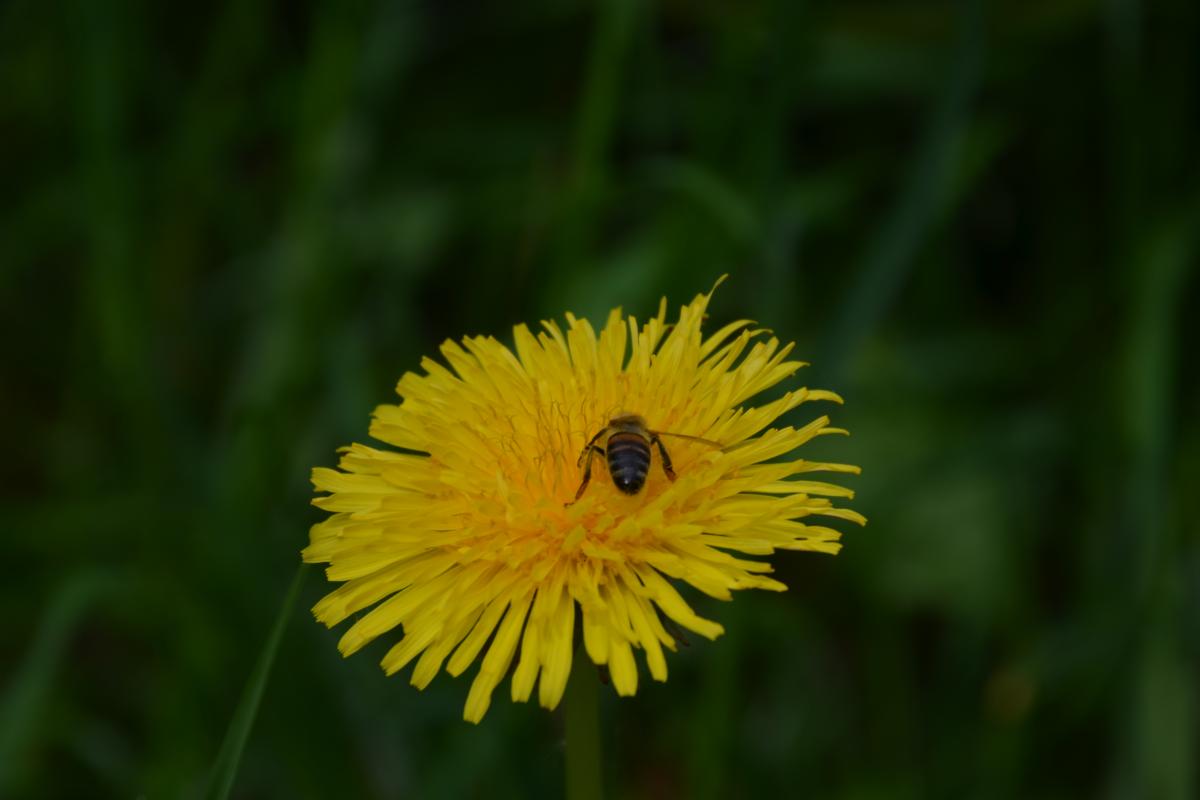 Zunerhof 31.05.2019